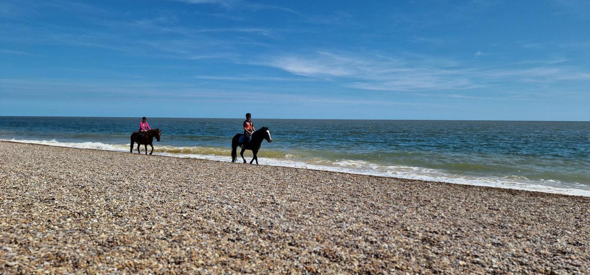 Seagull Cottage - Suffolk Coastal Escapes Pakefield Esterno foto
